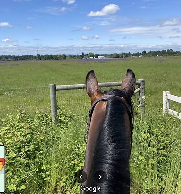 Screenshot 2025-06-14 at 6.46.15 PM