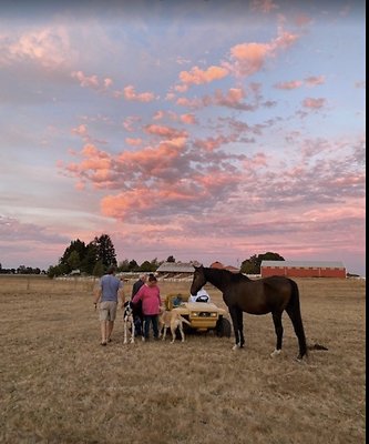 Screenshot 2025-06-14 at 8.13.48 PM