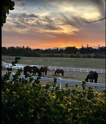 Screenshot 2025-06-14 at 8.12.56 PM