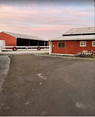 Screenshot 2025-06-14 at 8.13.34 PM