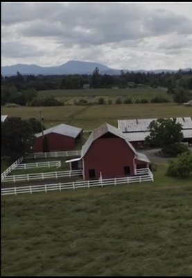 Screenshot 2025-06-14 at 7.12.22 PM