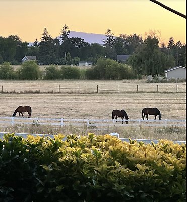 Screenshot 2025-06-14 at 8.14.00 PM