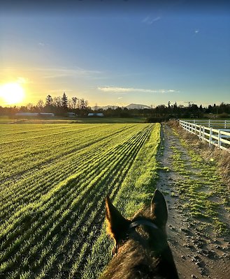 Screenshot 2025-06-14 at 8.13.41 PM