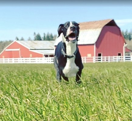 Screenshot 2025-06-14 at 8.13.26 PM