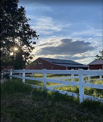 Screenshot 2025-06-14 at 8.16.21 PM