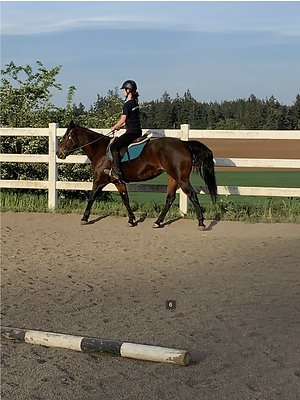 Screenshot 2025-06-14 at 3.14.06 PM