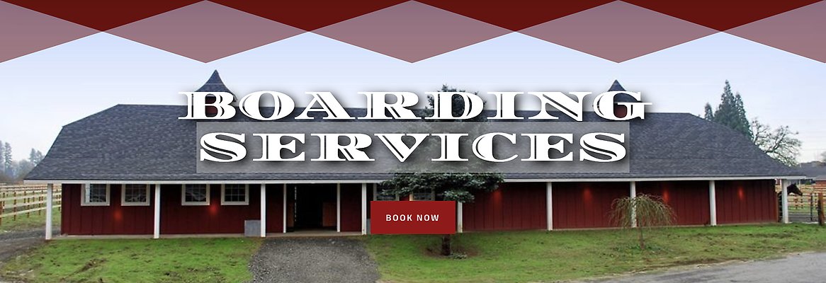 Screenshot 2025-06-14 at 3.12.51 PM