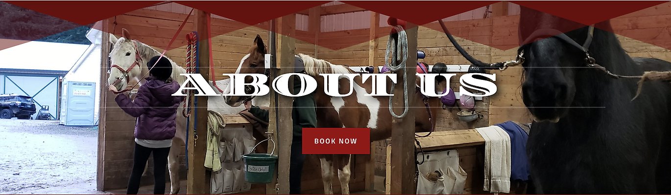 Screenshot 2025-06-14 at 3.15.08 PM