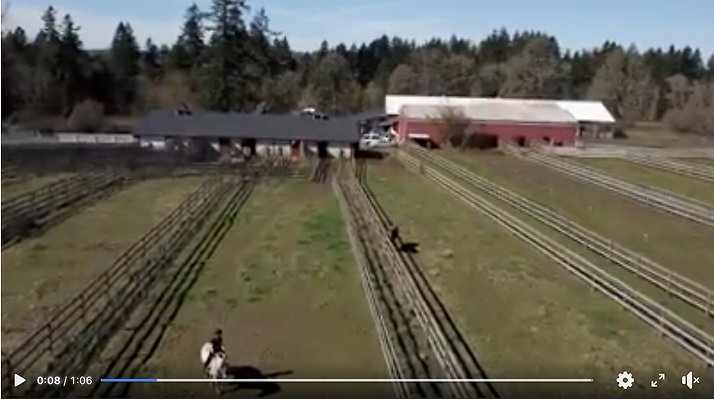 Screenshot 2025-06-14 at 3.16.16 PM