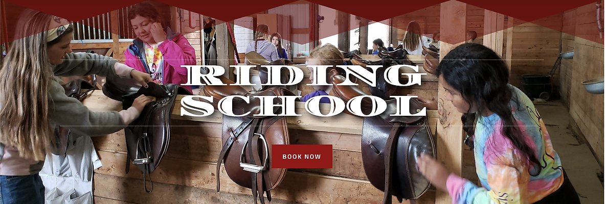 Screenshot 2025-06-14 at 3.13.57 PM