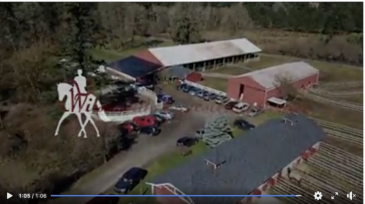 Screenshot 2025-06-14 at 3.16.34 PM