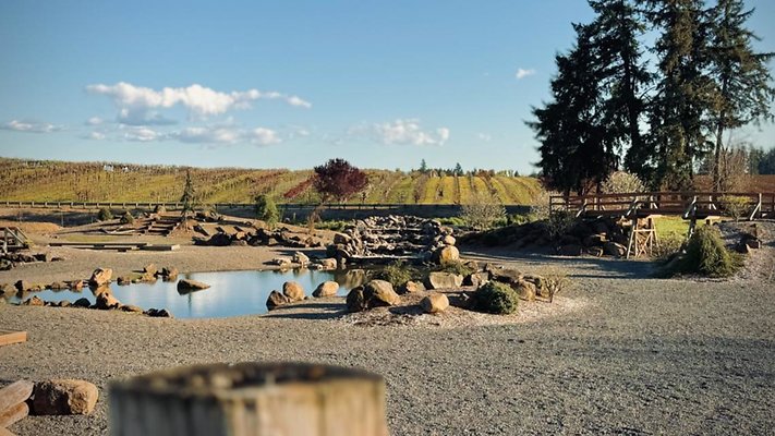 fd305b6a-8ff1-4dcc-a84e-b7de36d3591b 1140x641