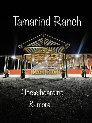 955519726680511 1144754271009544167 n