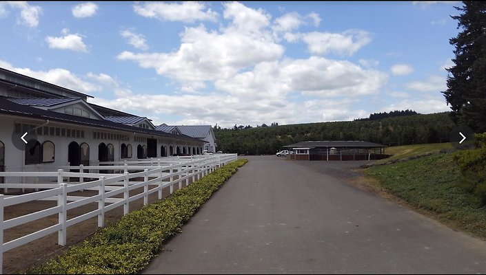 Screenshot 2025-06-14 at 2.20.22 PM