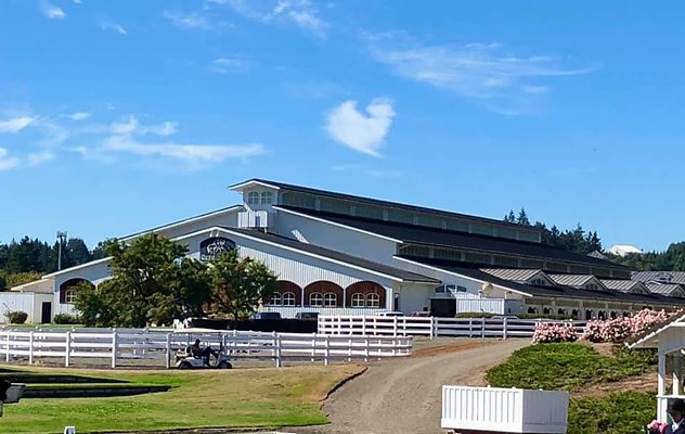 9856276124401941 6997343732562873723 n