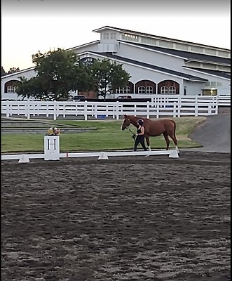 Screenshot 2025-06-14 at 2.20.41 PM