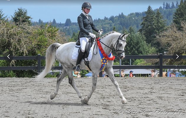 Screenshot 2025-06-14 at 2.18.36 PM