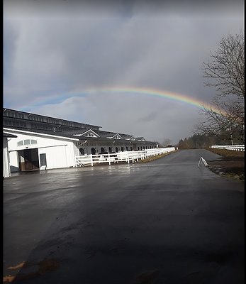 Screenshot 2025-06-14 at 2.19.23 PM