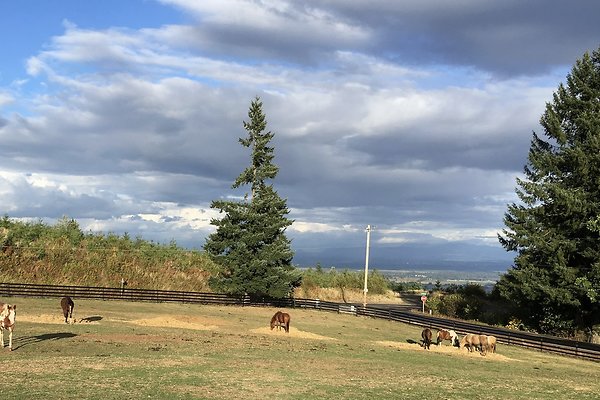 Screenshot 2025-06-14 at 6.53.22 AM