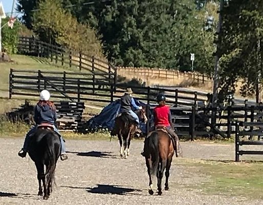 10210391545773160 1730000813735942844 n