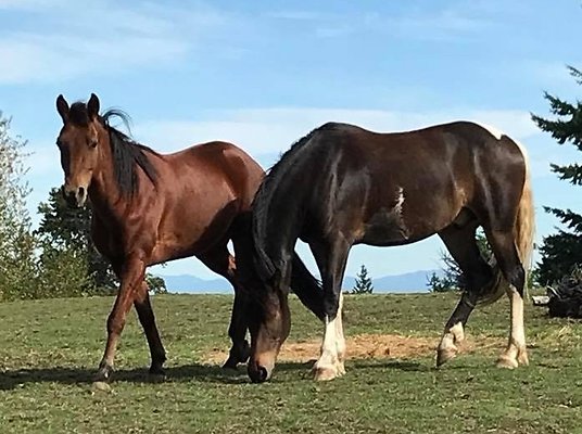 10210391545333149 3934131012286125865 n