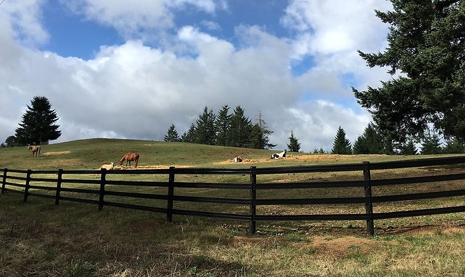 09 Sky Ranch Stables 35 Minutes