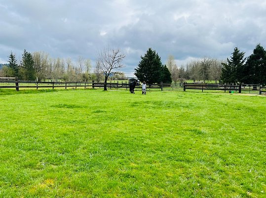 21 Dark Horse Dream Ranch 30 Minutes