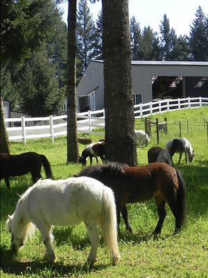 Screenshot 2025-06-14 at 1.31.30 PM