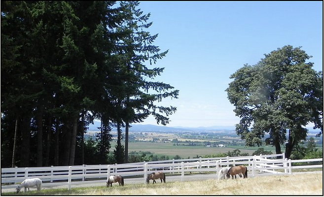 04 Hunterberry Hill Farm 1 Hour