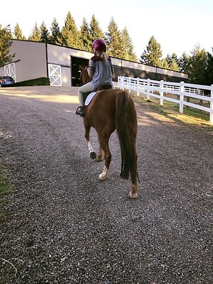 2648448928677927 7293523834950546060 n