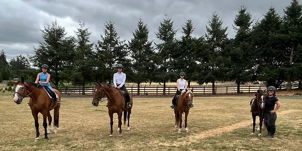 rs=w 600,h 300,cg true,m