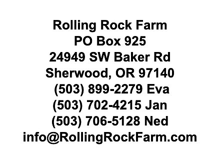 Screenshot 2025-06-14 at 12.16.35 PM