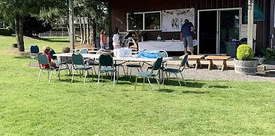 rs=w 388,h 194,cg true