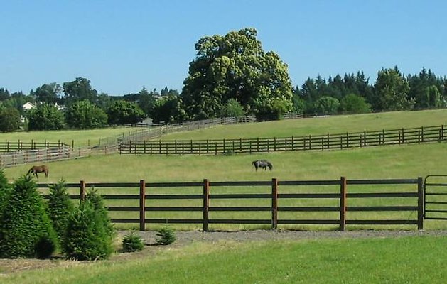 06 Rolling Rock Farm 30 Minutes