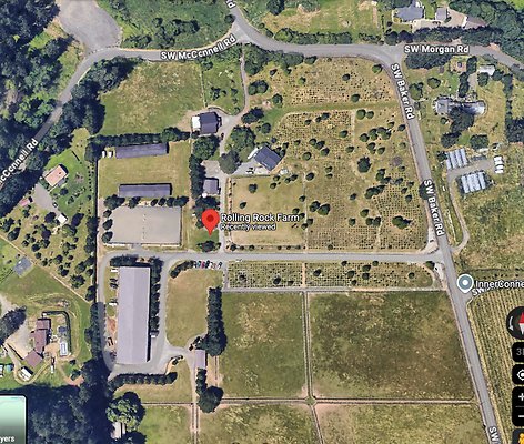 Screenshot 2025-06-14 at 12.11.32 PM