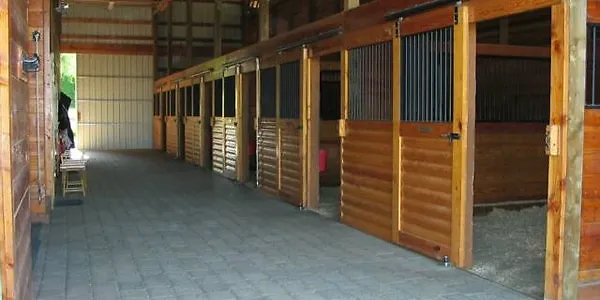 rs=w 600,h 300,cg true