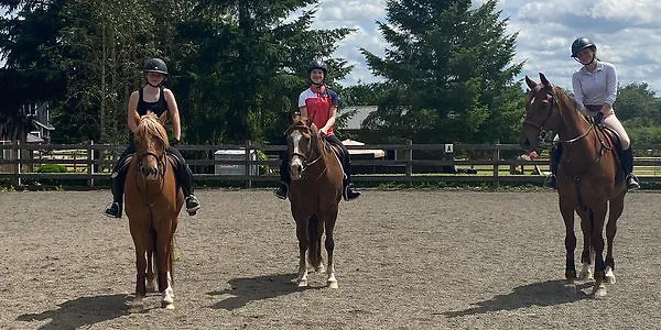 rs=w 600,h 300,cg true copy