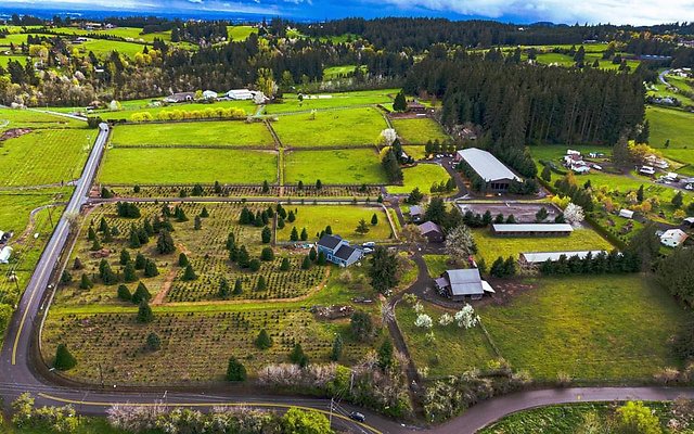 565852249751957 6357813007701277623 n