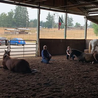 1197767832357354 6681507117277934597 n