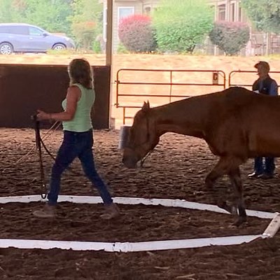 1197767859024018 8457609108663966594 n