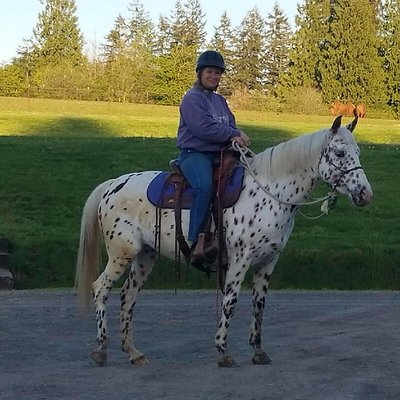 9034837746548784 6056916924933456279 n