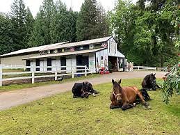 12 Corbett Farm 45 Minutes