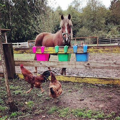 corbett-farm-gallery-1