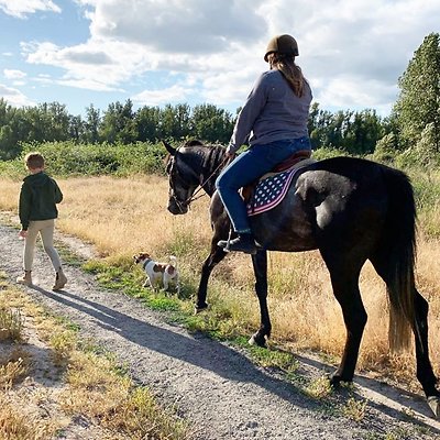 corbett farm 1561172819