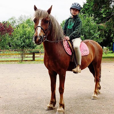 corbett farm 1561084114