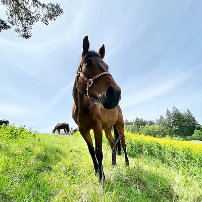 corbett-farm-gallery-2