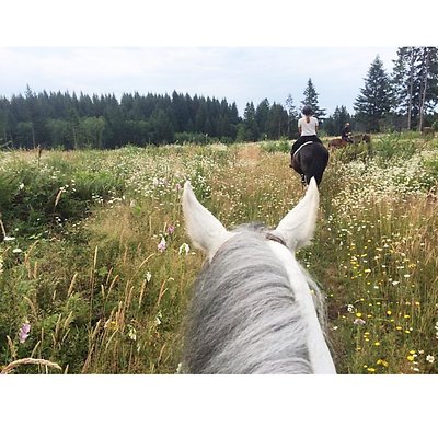 corbett farm 1547832005