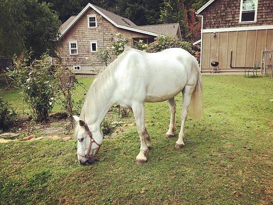 corbett farm 1567633156