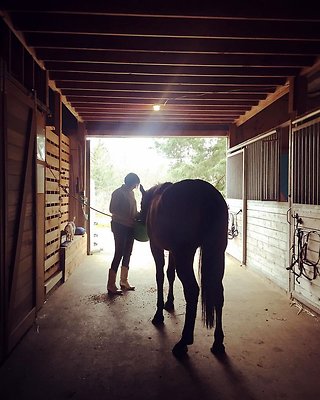 corbett farm 1553881854