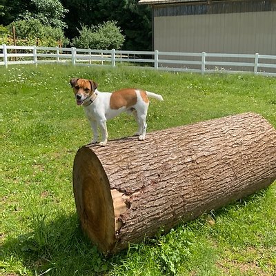 corbett farm 1624319687